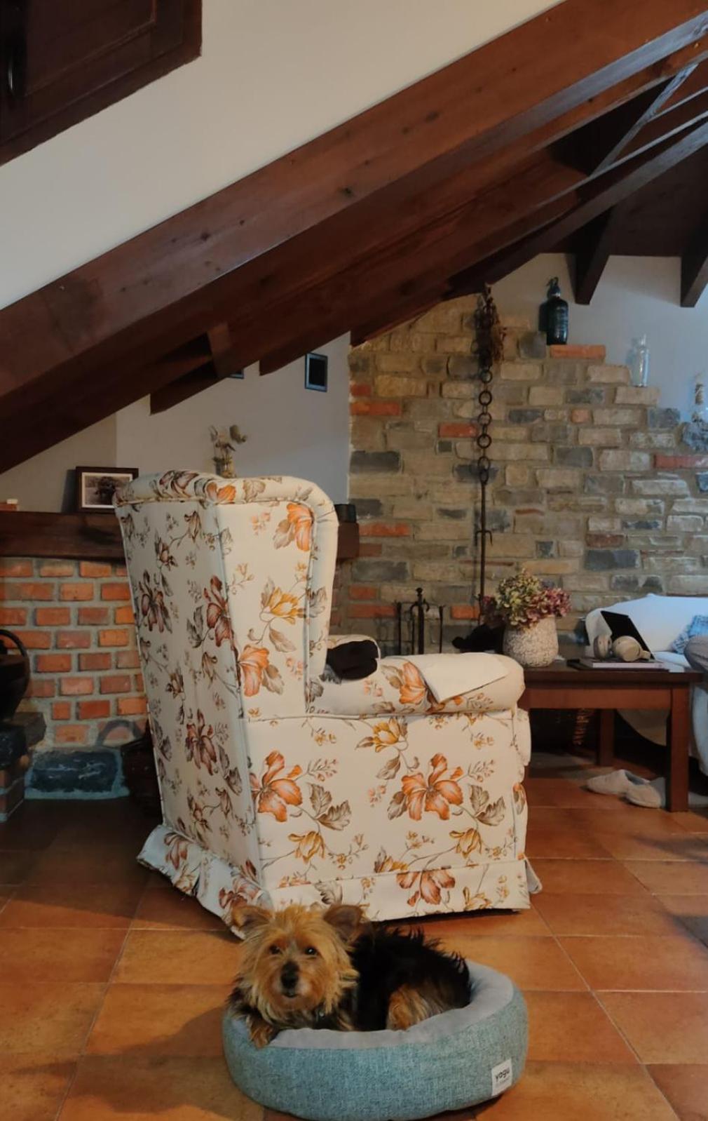 Apartamentos Rurales El Collain De Campiellos المظهر الخارجي الصورة
